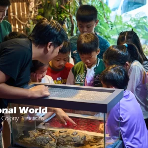 Water: Splash, Flow and Grow (Age 9 - 12)