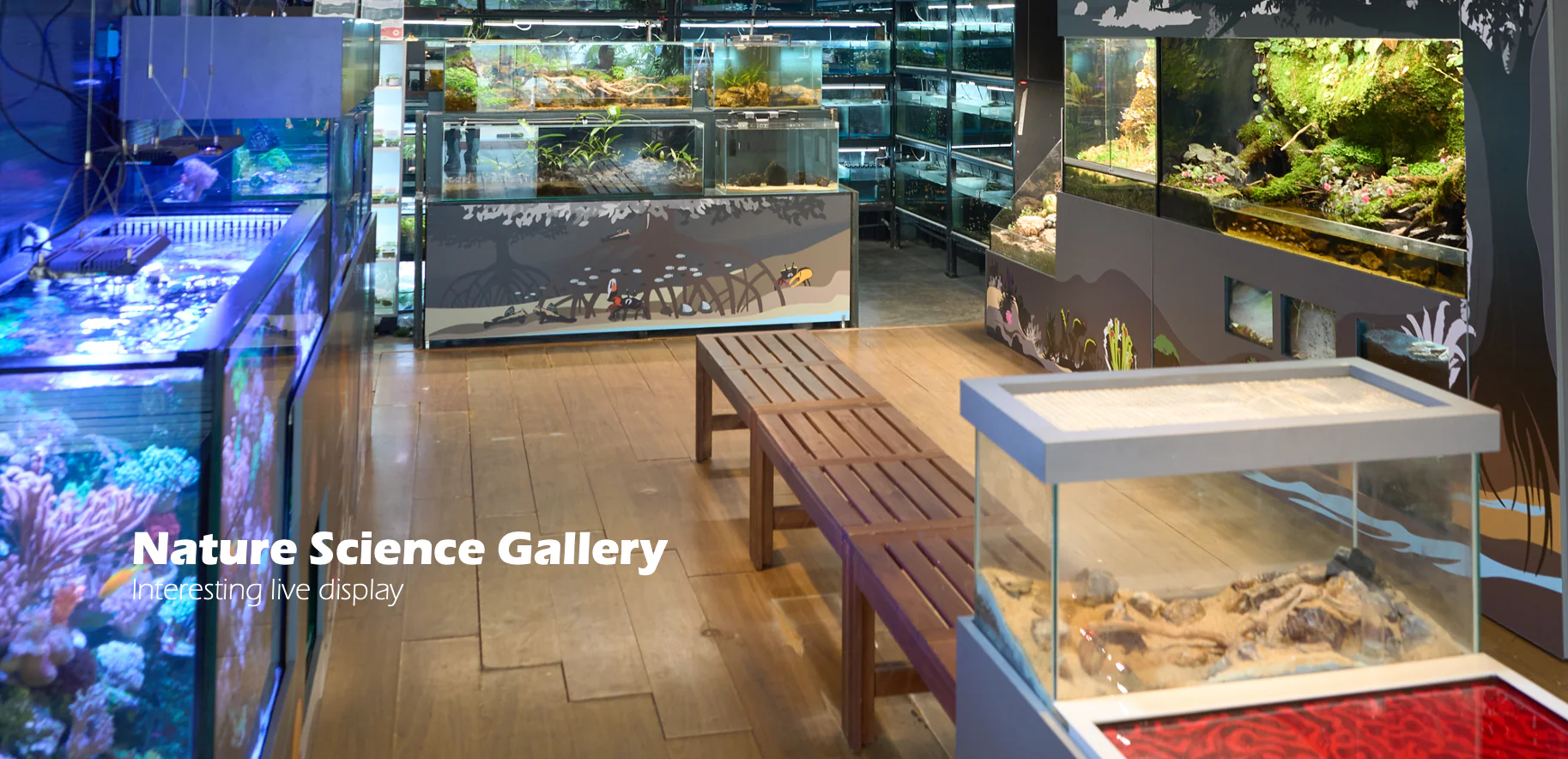 Screenshot_2025-03-27_at_3.18.07_PM_2048x