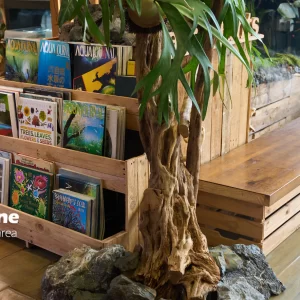 Adaptation: Nature's Clever Plant Tricks (Age 6 - 8)